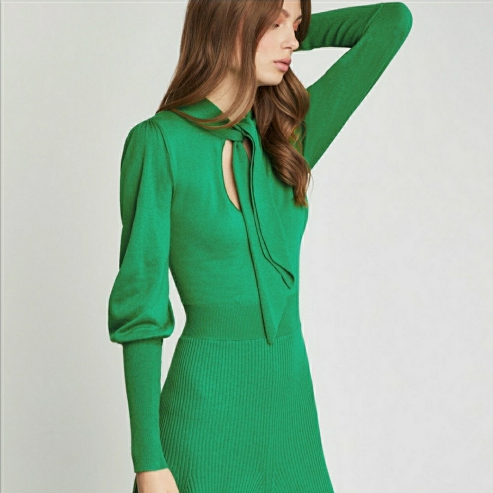 Bcbgmaxazria Dress